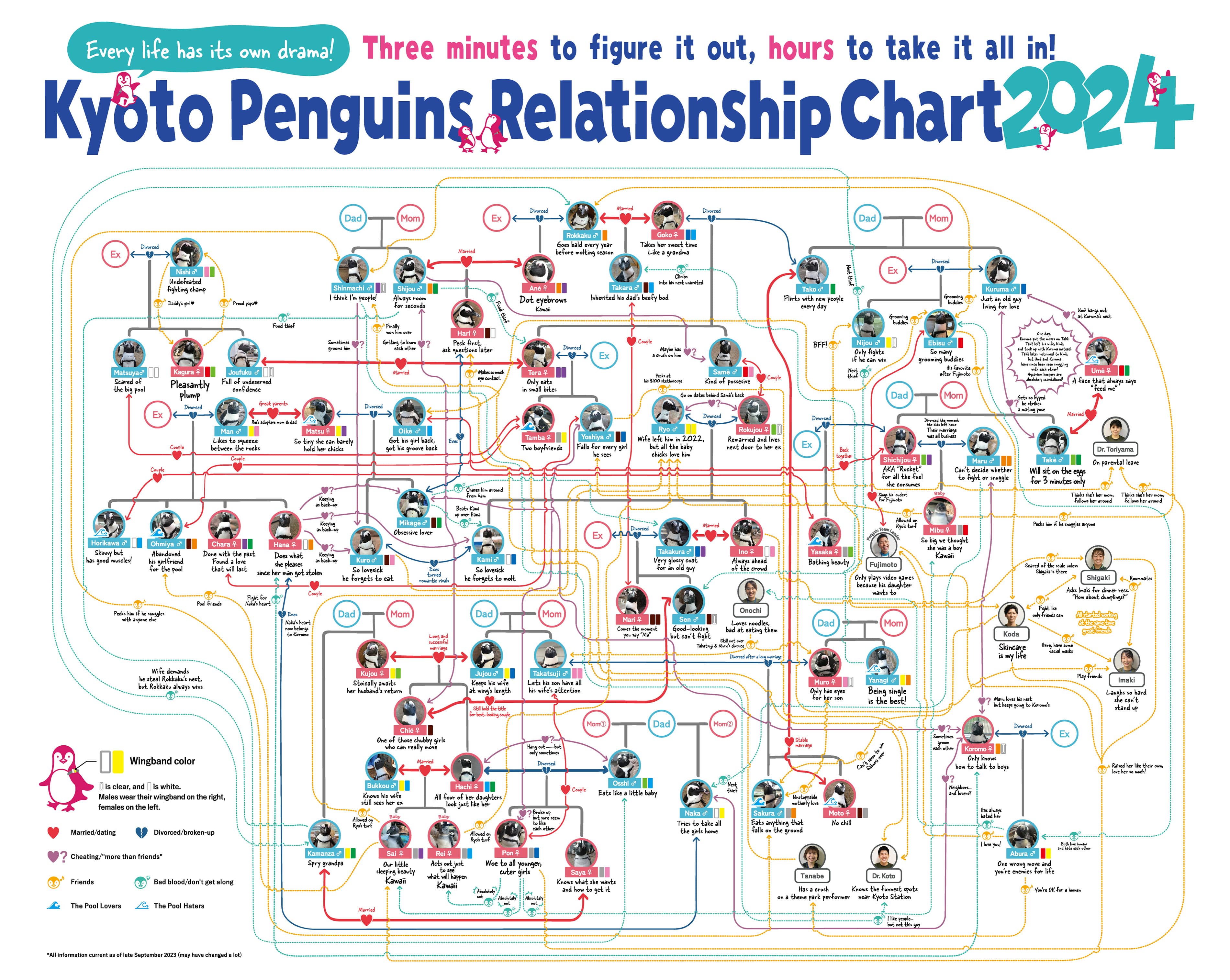 Penguin Flowchart