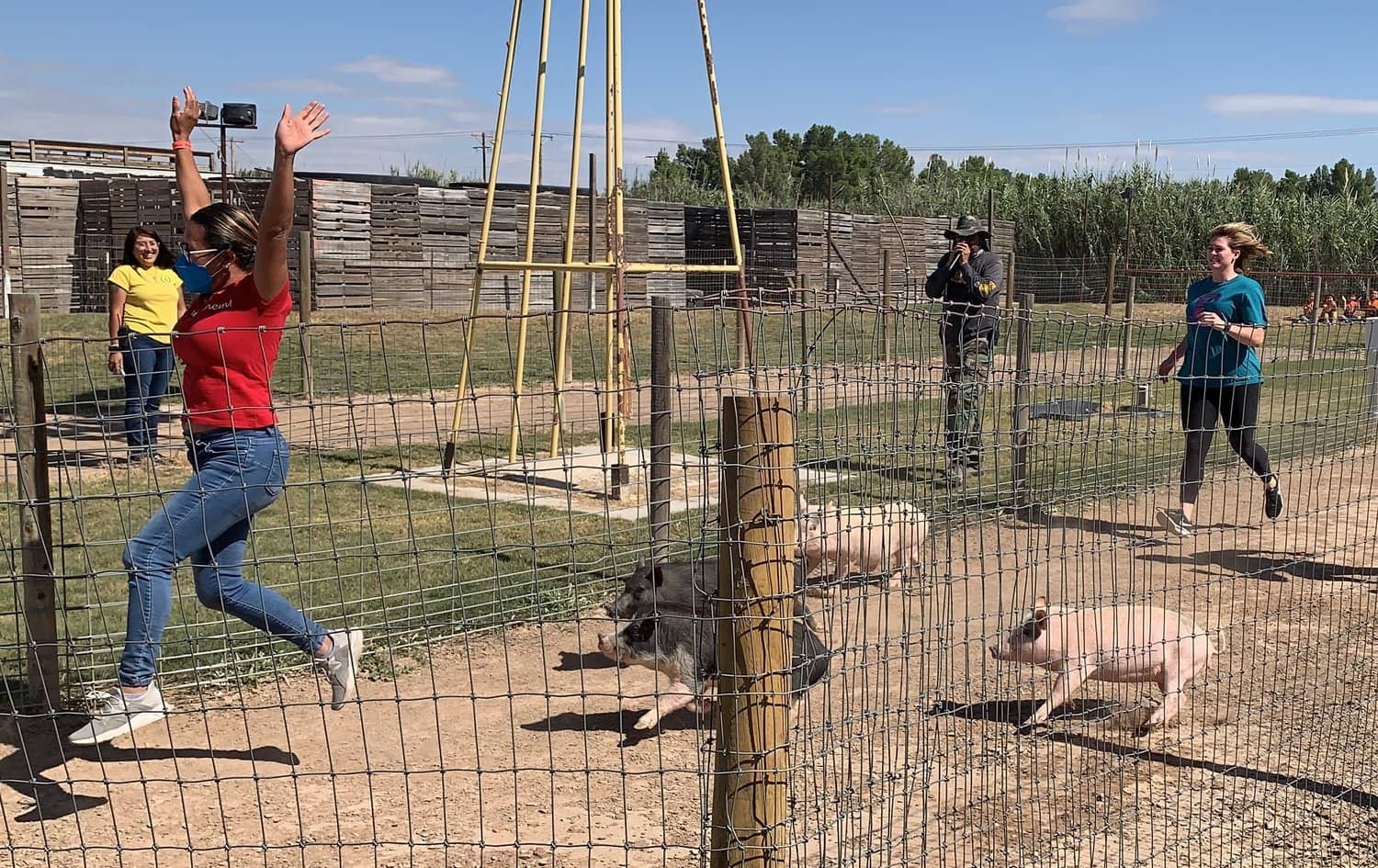 Pig Races & Other Activities