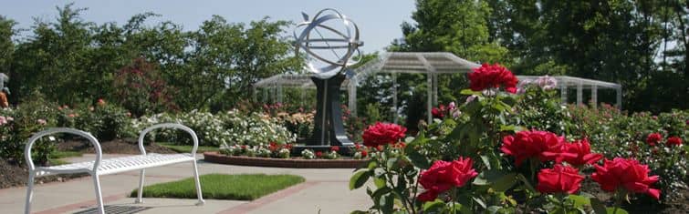 Rose Garden