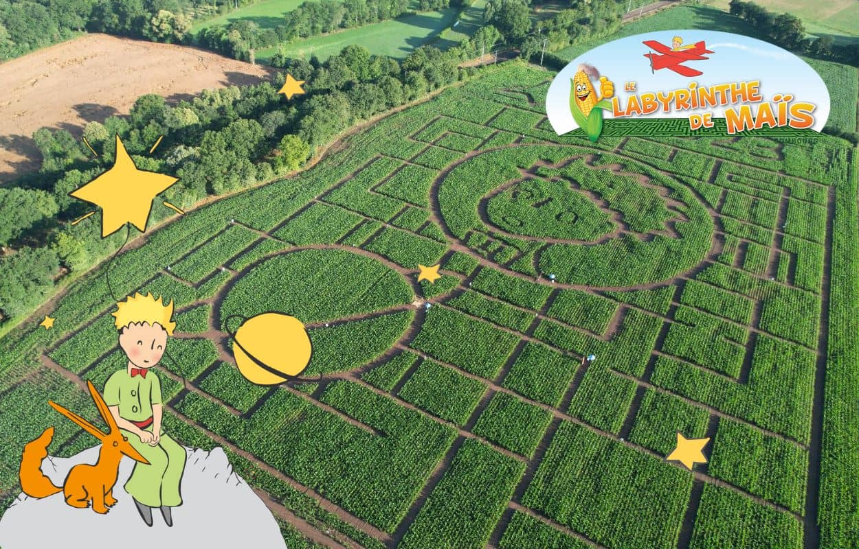 The Maze Adventure