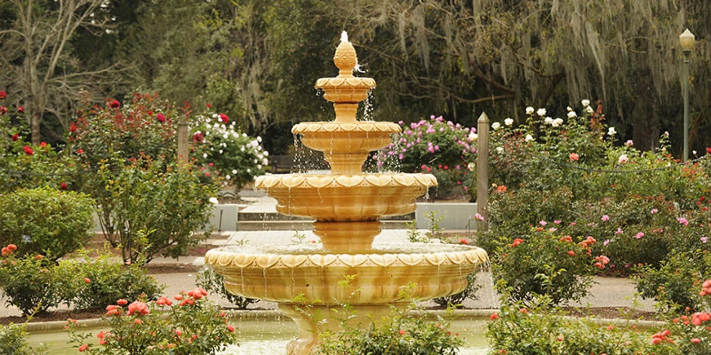 Rose Garden