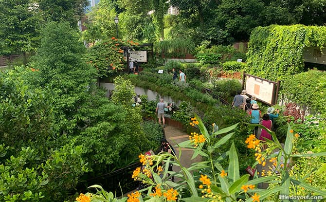 Fort Canning Spice Garden