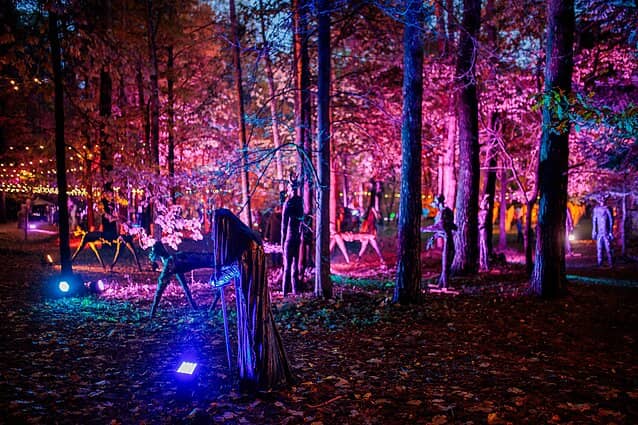 Halloween Spectacle