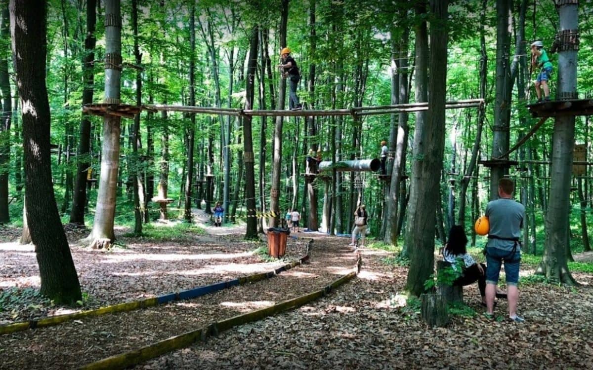 Educational Forest Trails