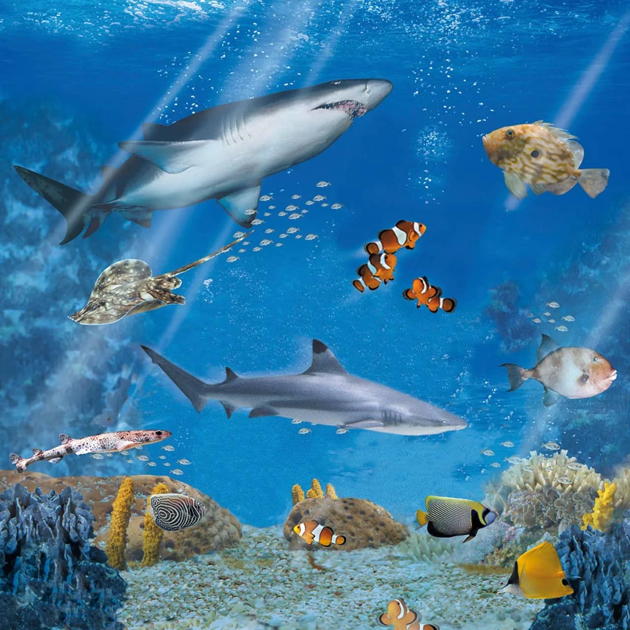 Aquarium Exploration