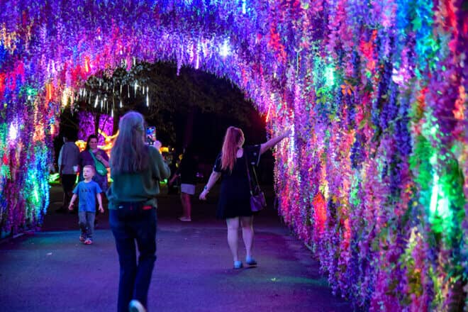 Spring Illuminations