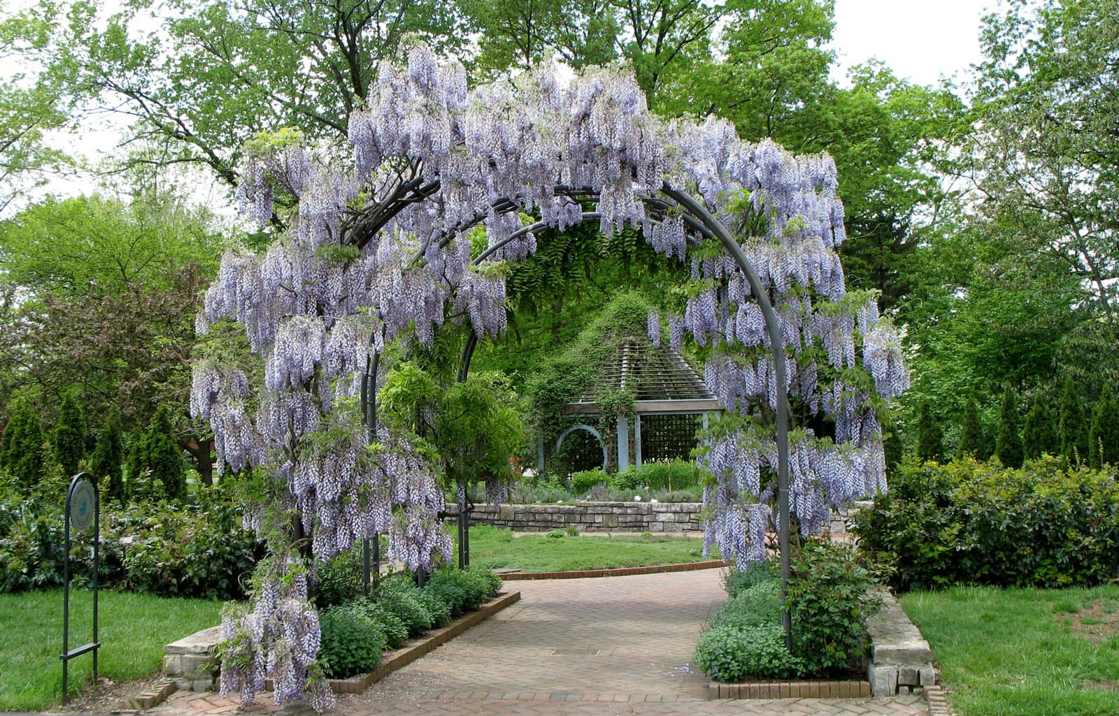 Themed Gardens