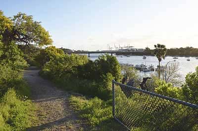 Shady Picnic Spots