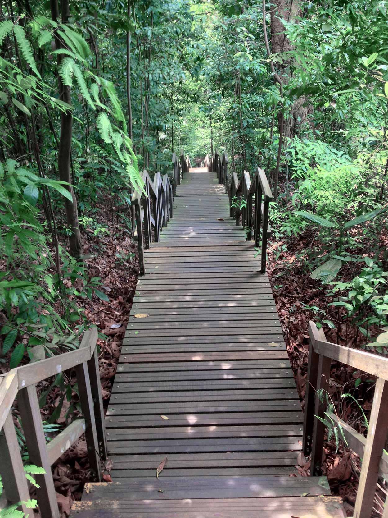 Boardwalk Trails