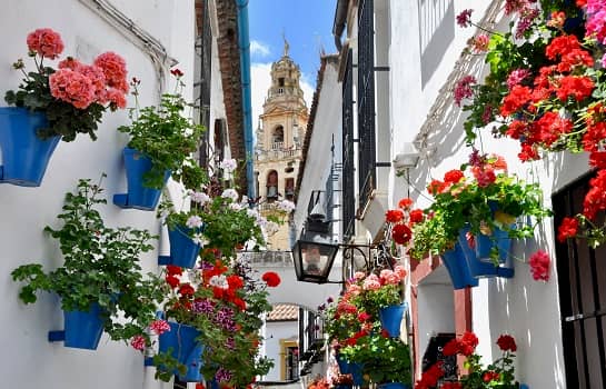 Calleja de las Flores
