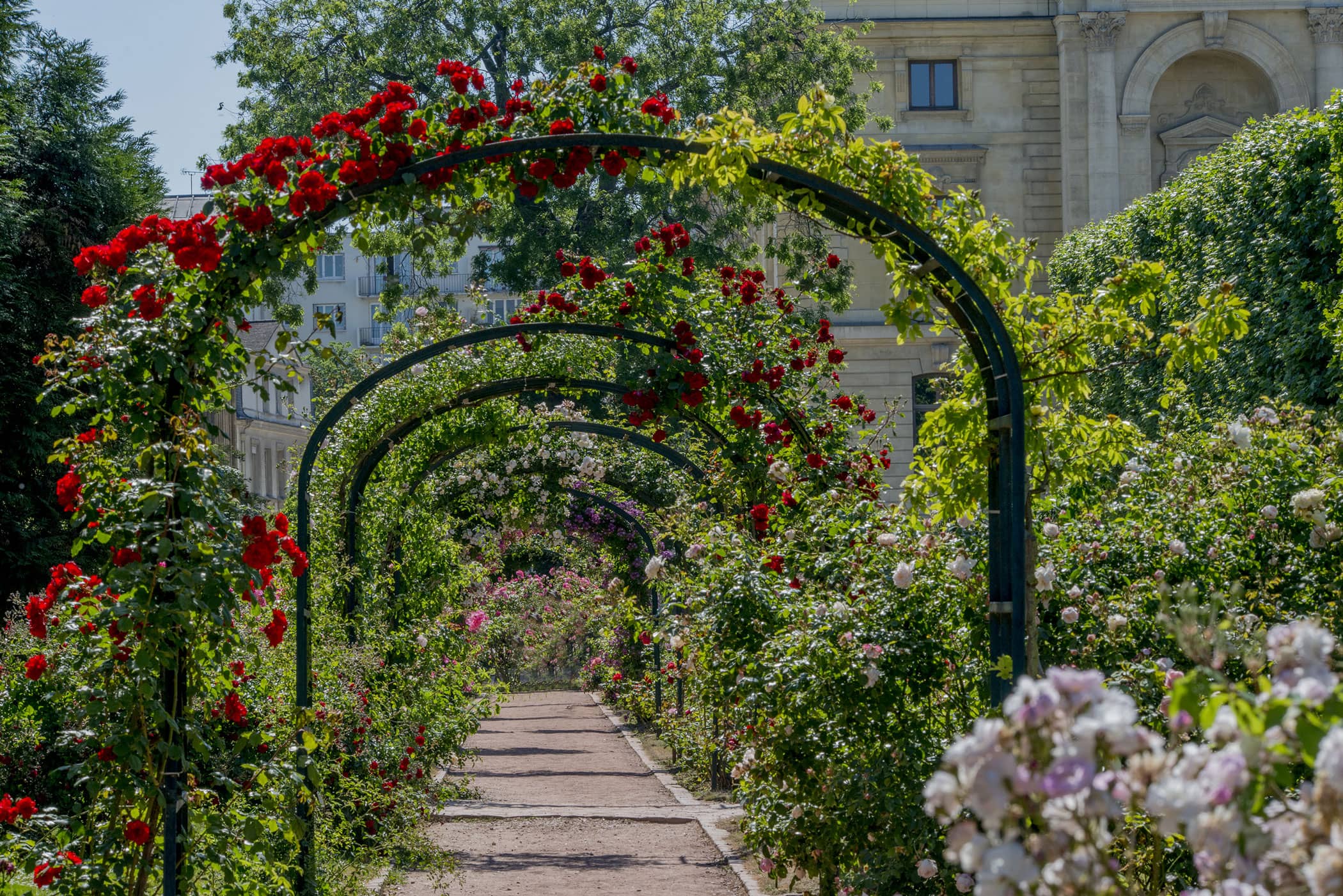 Alpine Garden