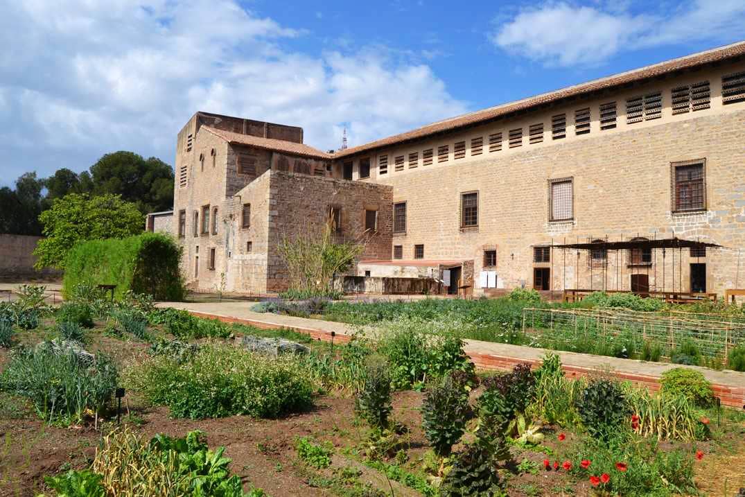 Medieval Garden