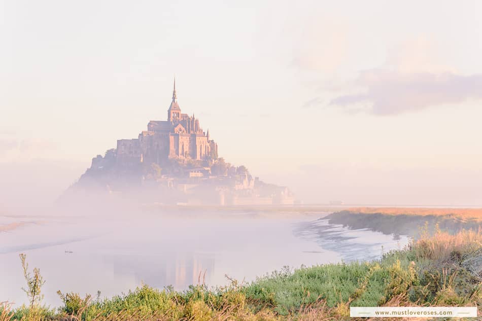 Misty Morning Views