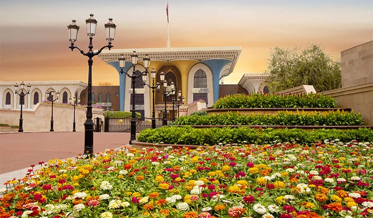 Surrounding Gardens & Forts