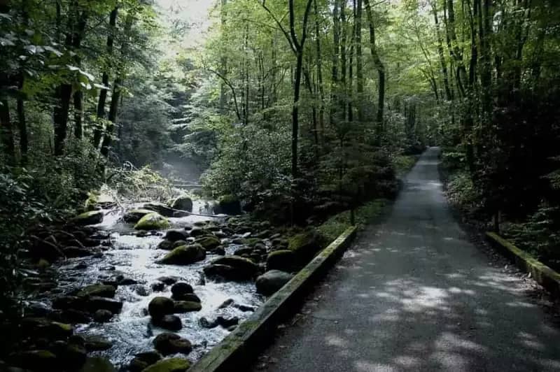 Scenic Roaring Fork Motor Nature Trail