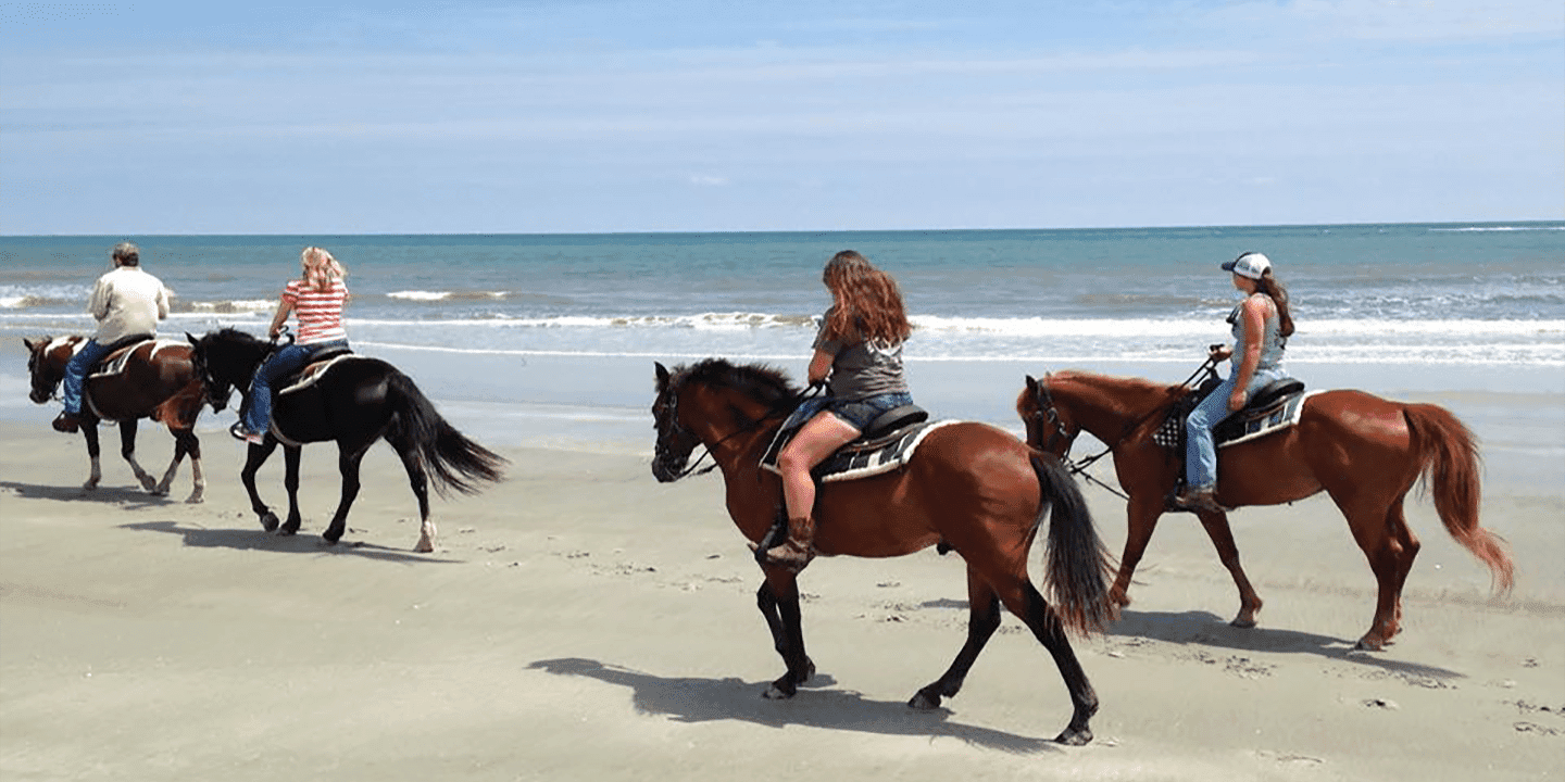 Inlet Point Plantation Stables