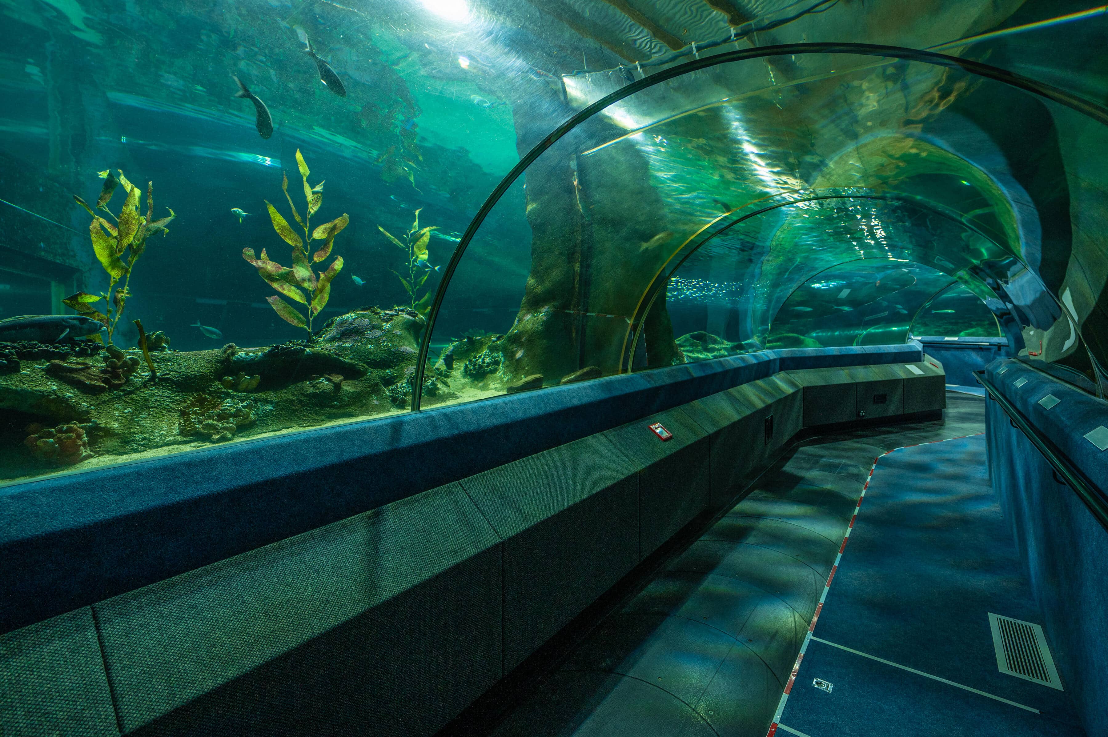 Underwater Tunnel