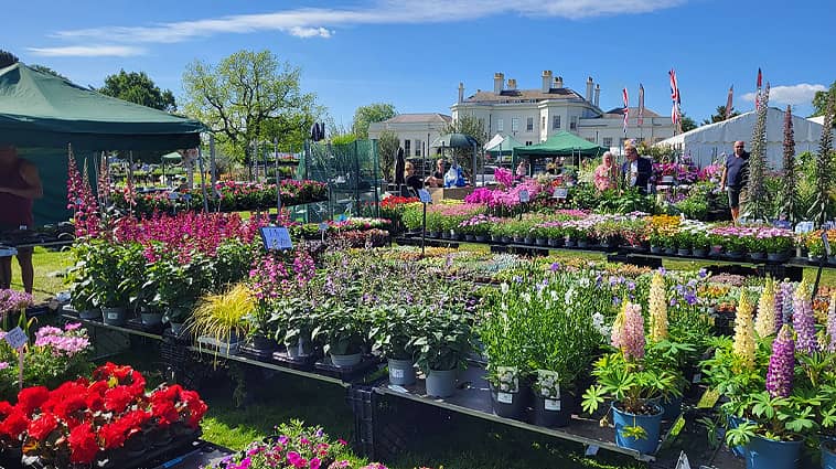 National Flower Show