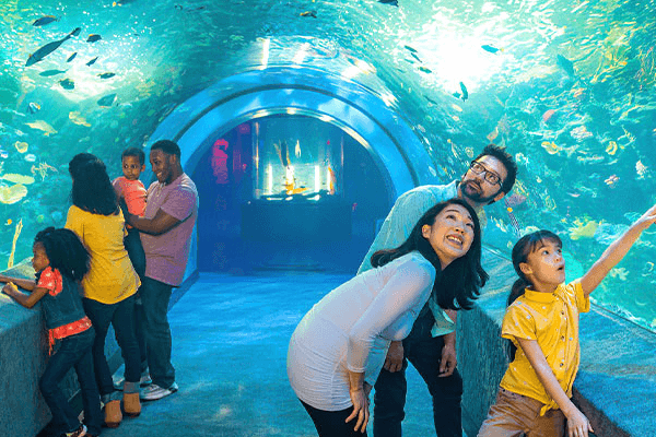 Underwater Tunnels