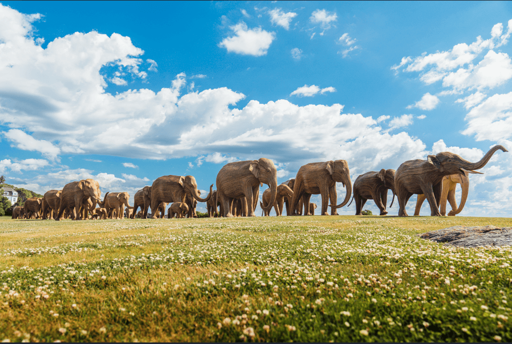 The Great Elephant Migration