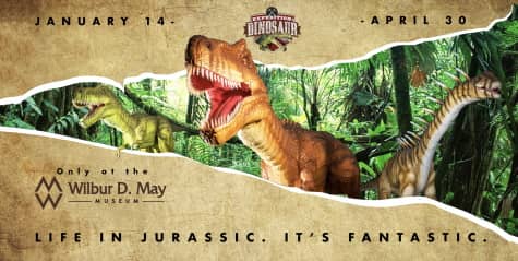 Expedition Dinosaur: Rise of the Mammals