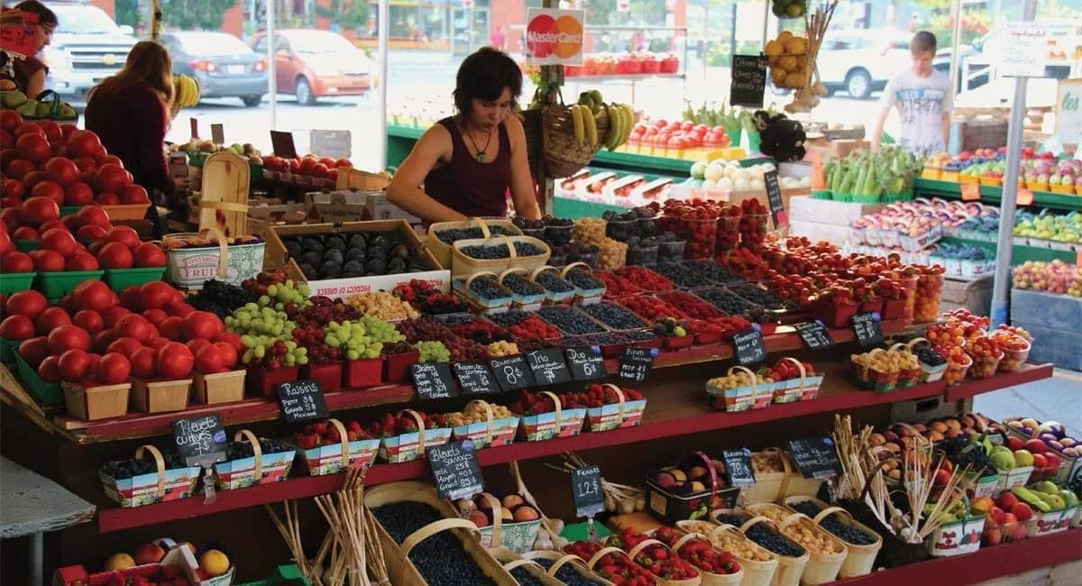 Fresh Produce Galore