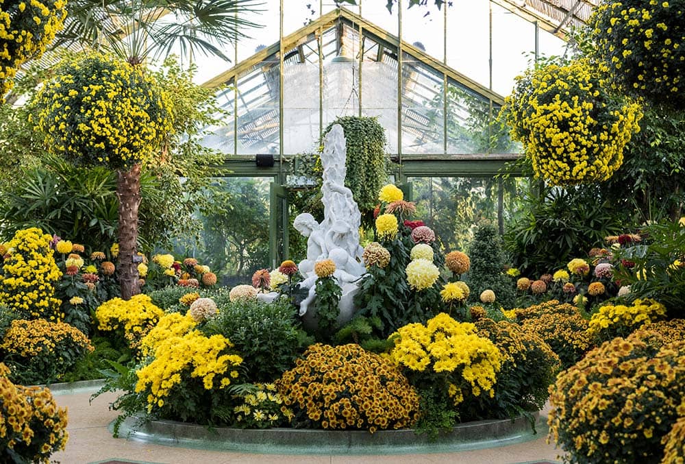 Tropical Foyer
