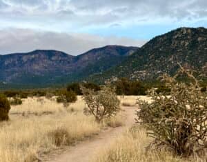 Pino Trail