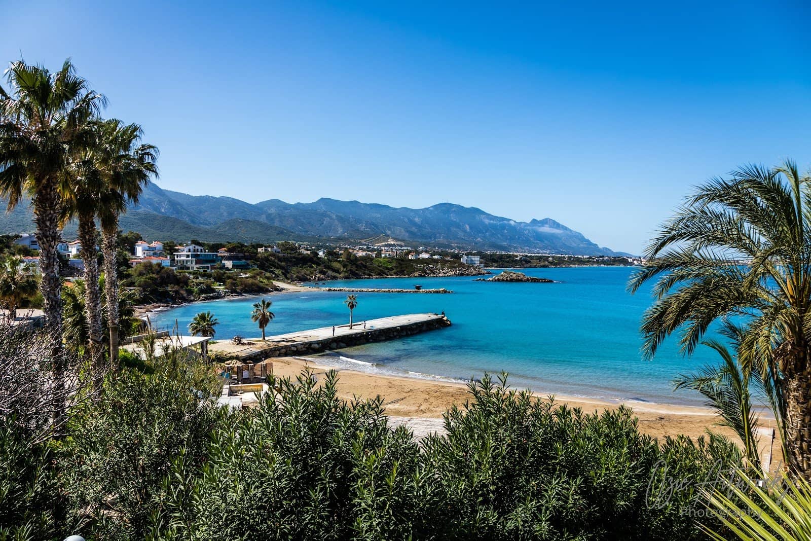 Palm-Lined Shoreline