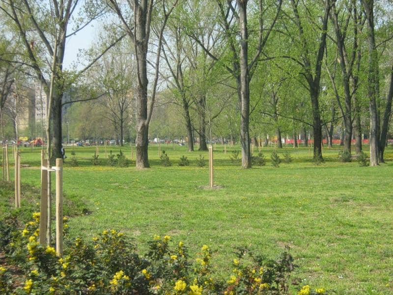 Dog-Friendly Enclave