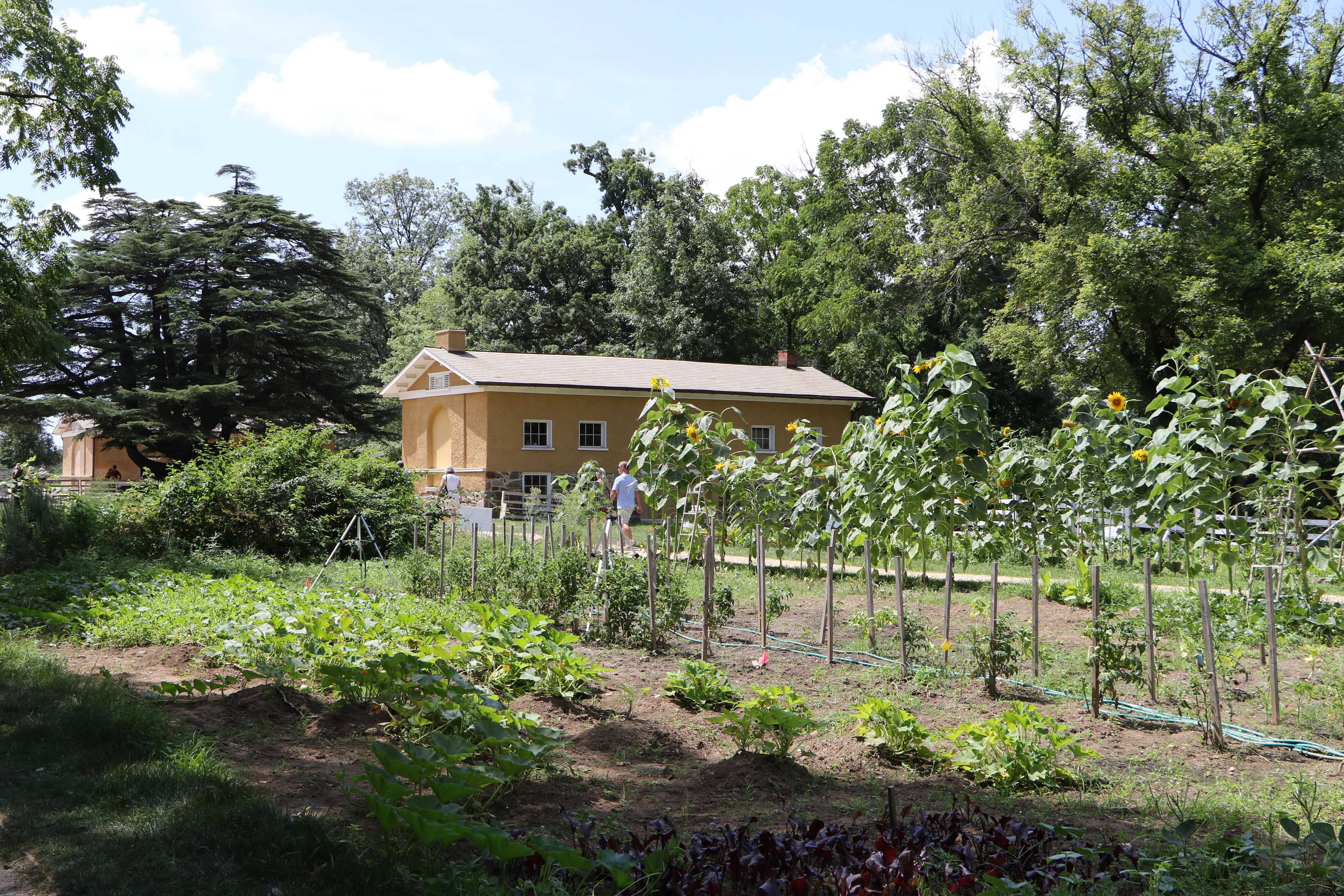 The Slave Quarters