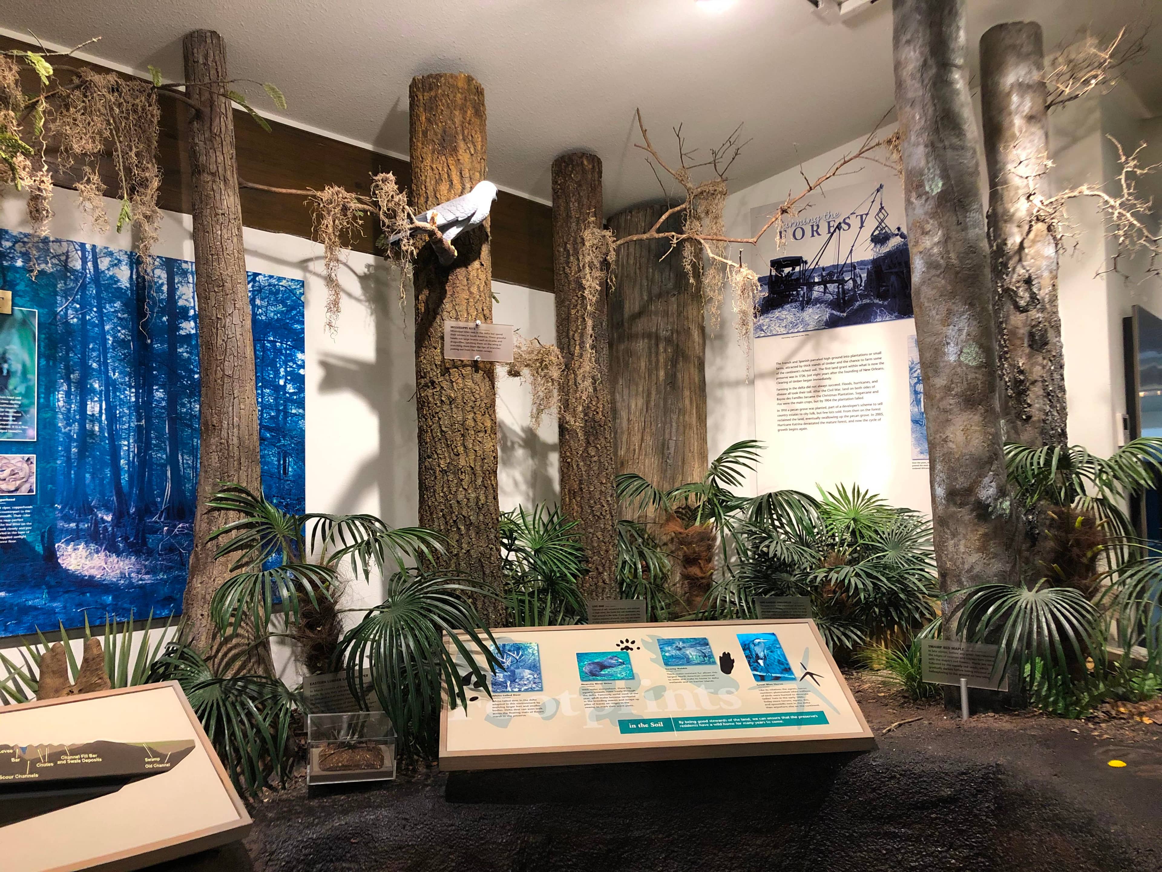 Visitor Center Exhibits