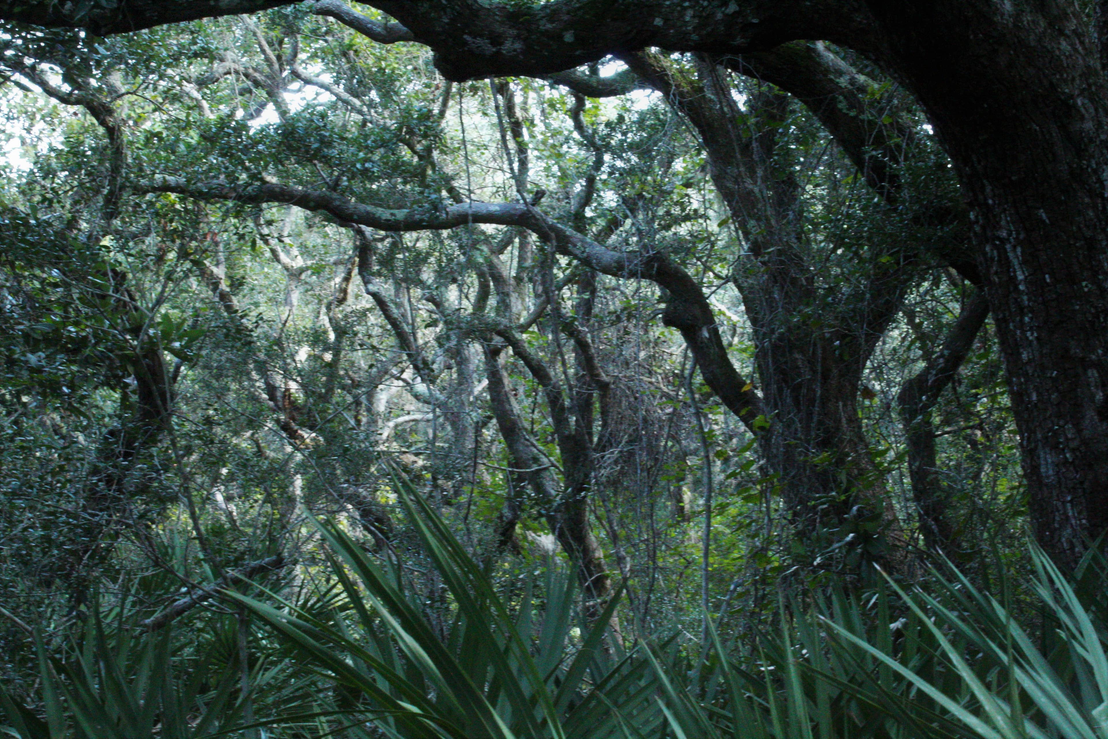 Coastal Nature Trails