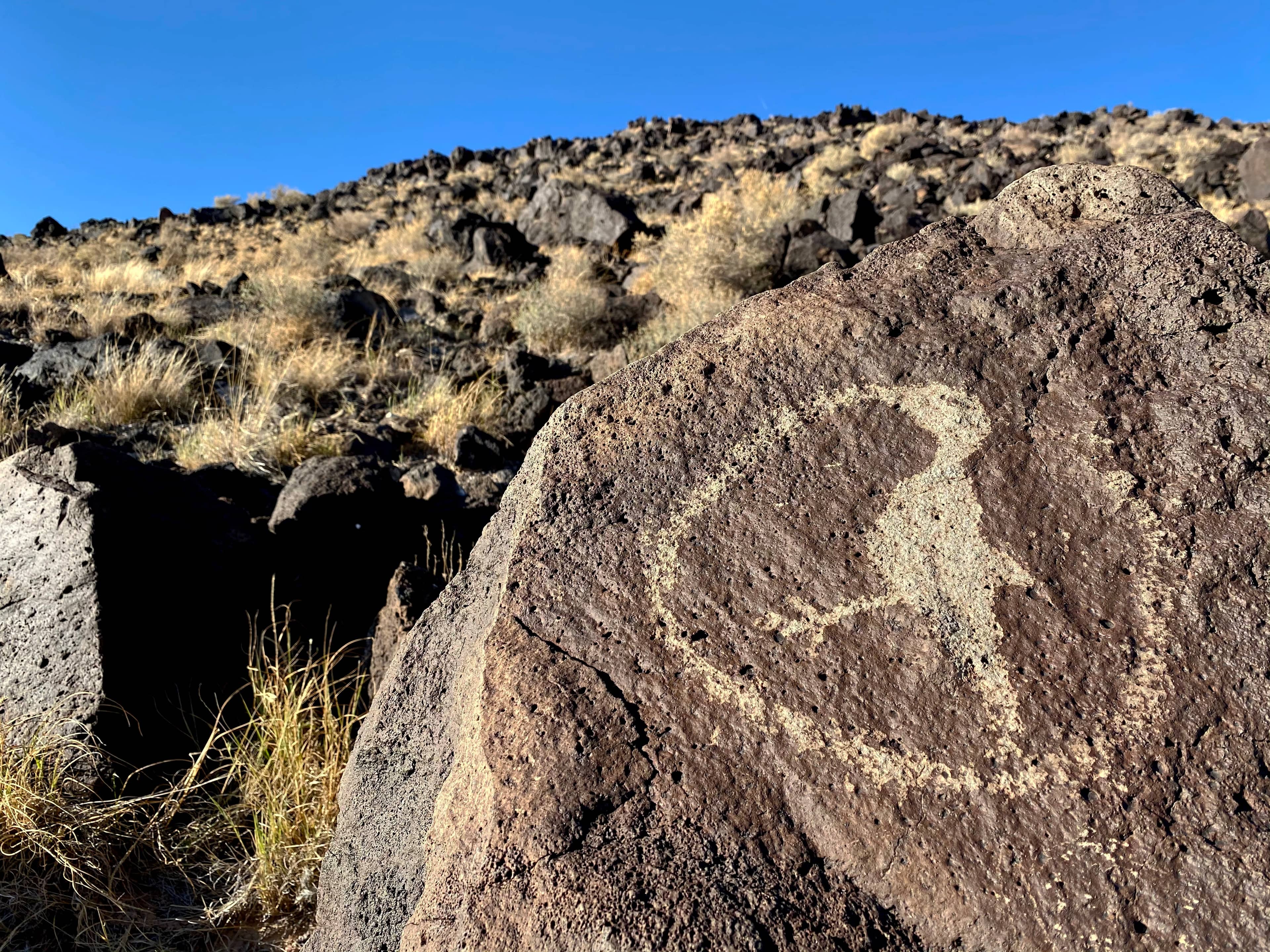Rinconada Canyon Trail
