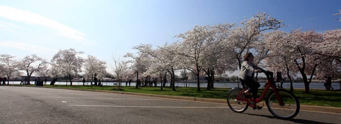 Hains Point Loop Trail