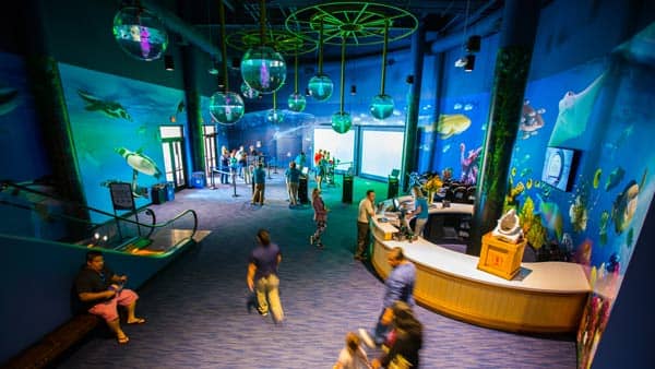 Immersive Aqua Lobby