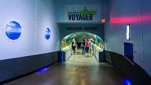 Voyager "Ride"