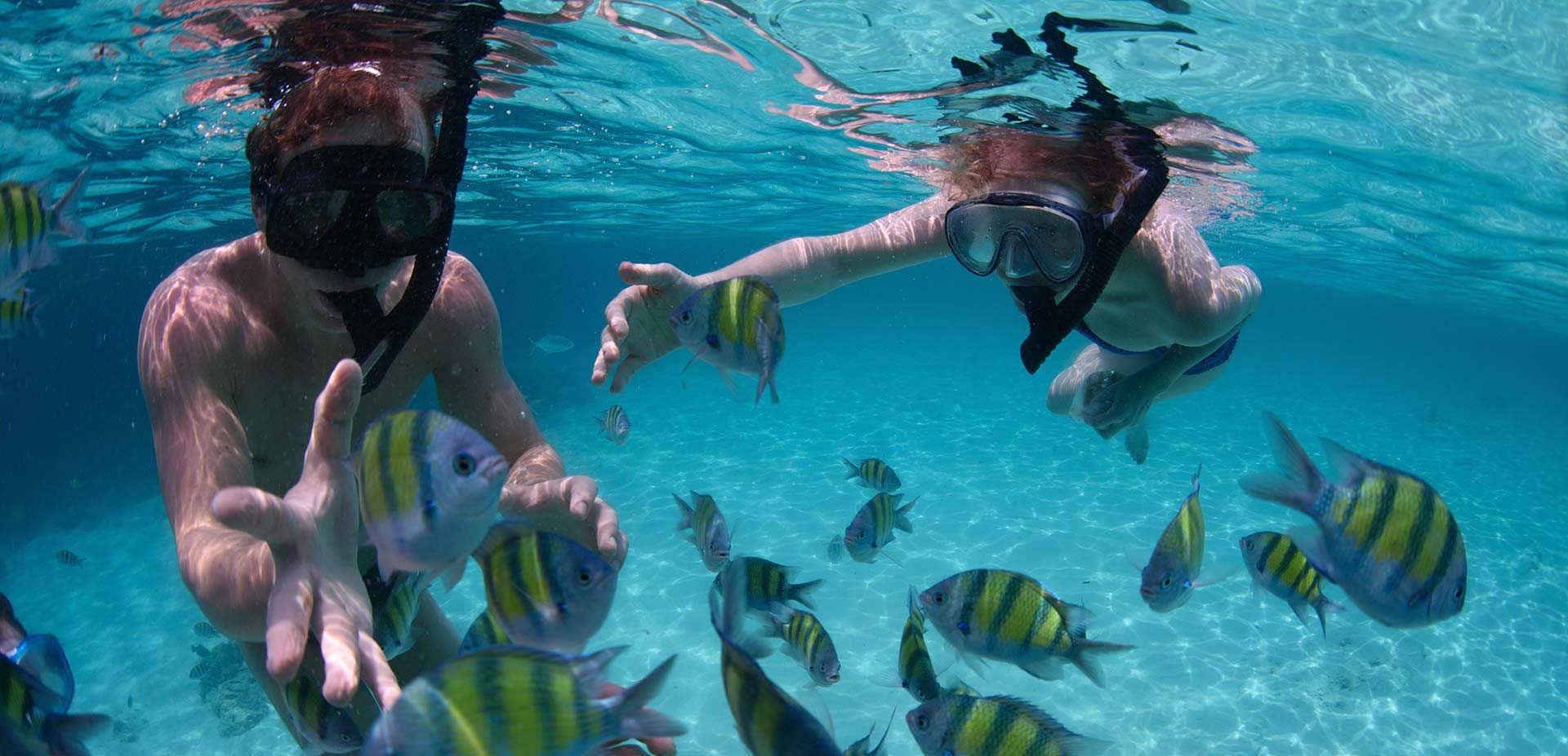 Underwater Caves & Reefs
