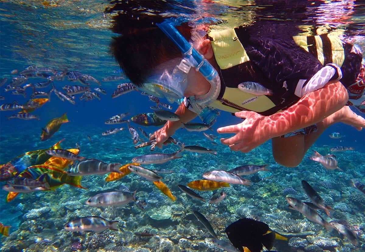 Snorkeling & Diving