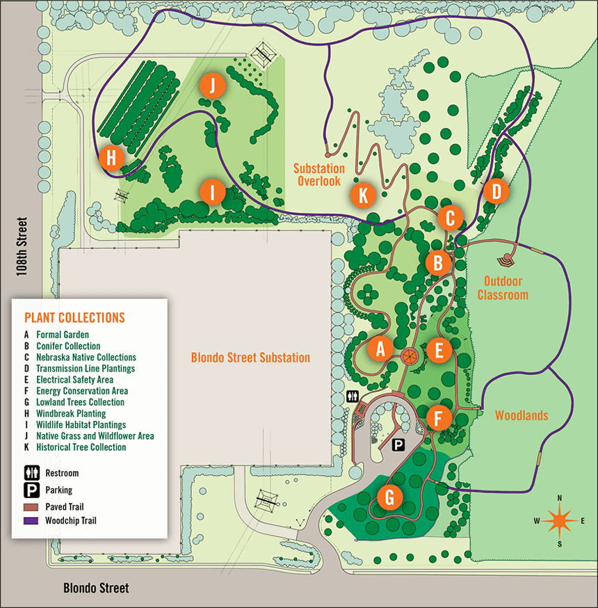 Well-Maintained Walking Trails