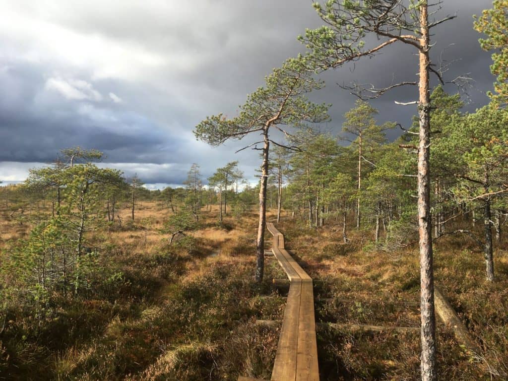 Torronsuo National Park