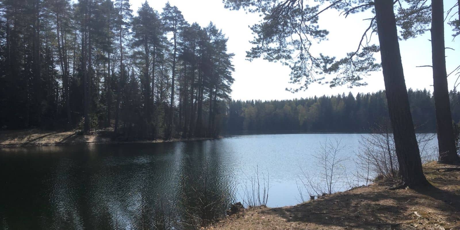 Saari-Kovero Nature Reserve