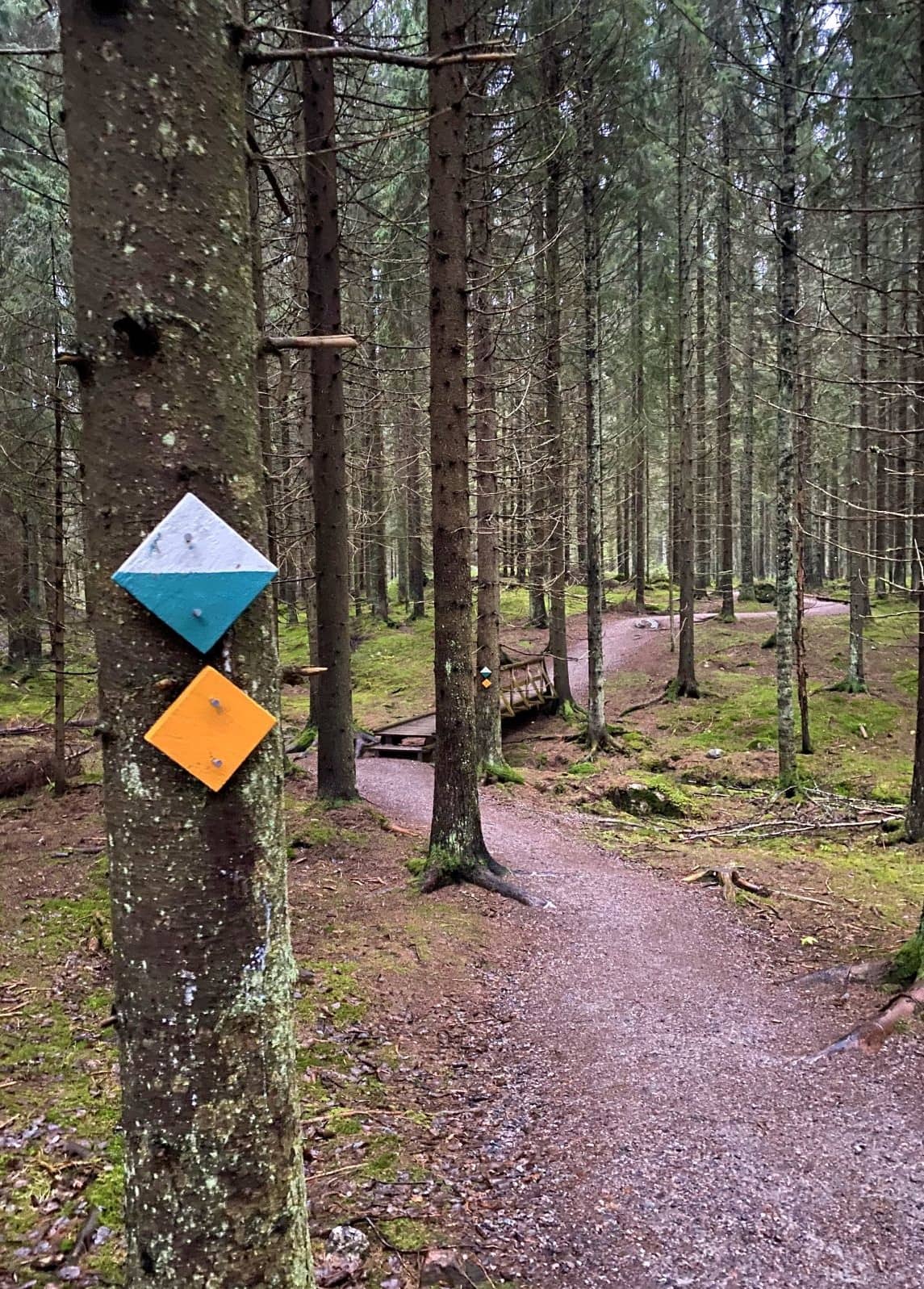 Well-Marked Hiking Trails