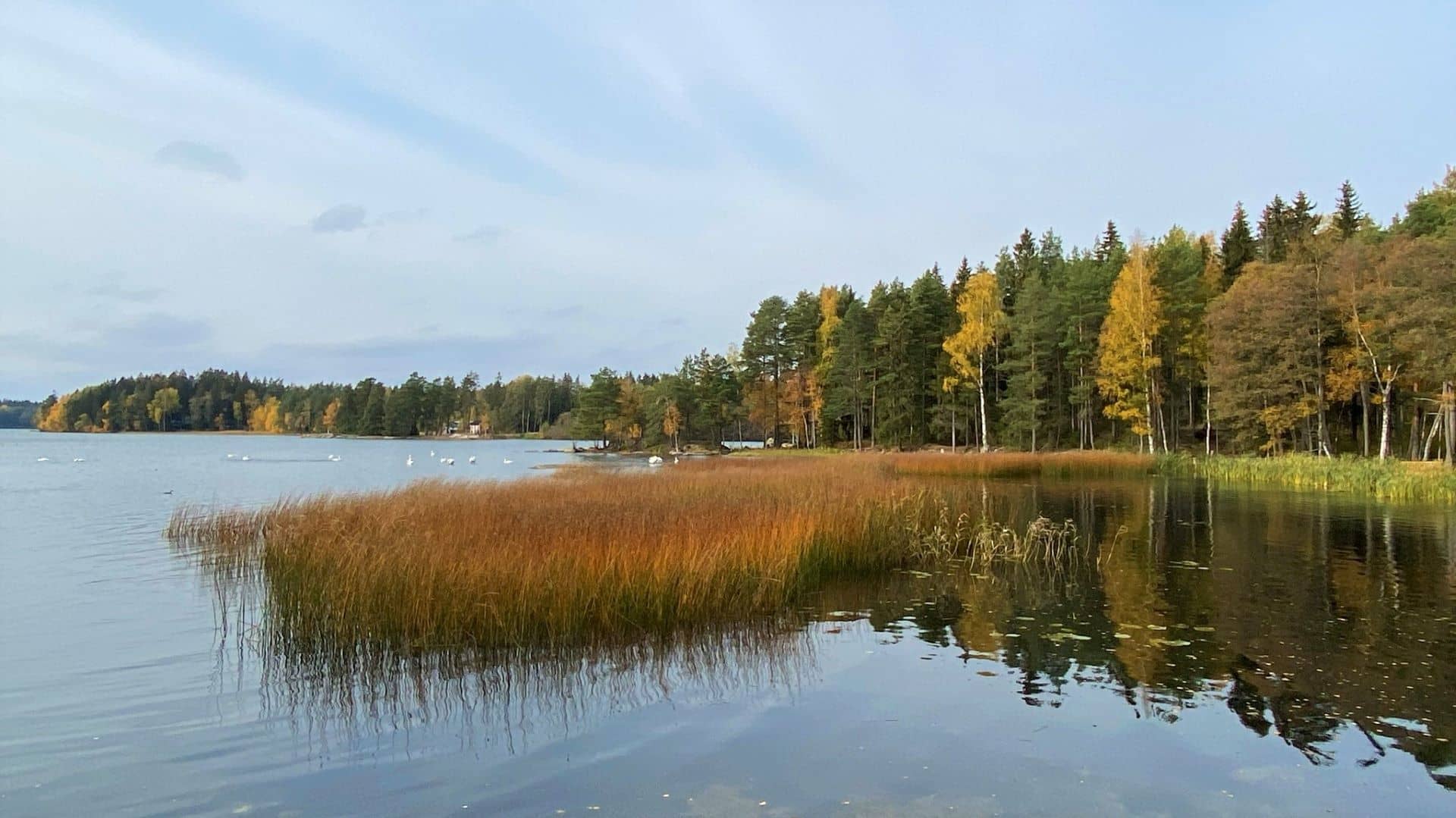 Scenic Lake Views