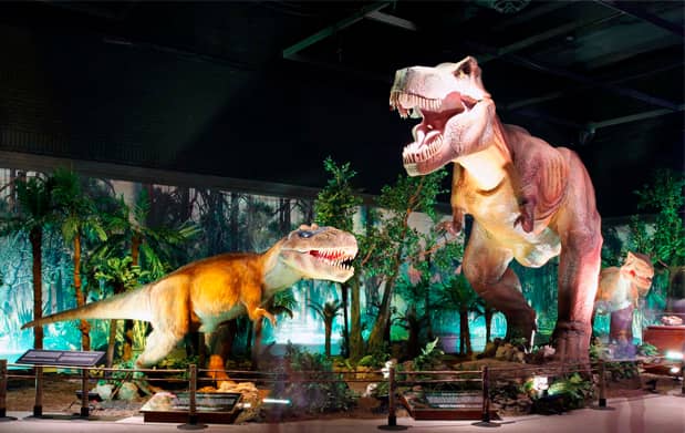Dinosaur Exhibitions