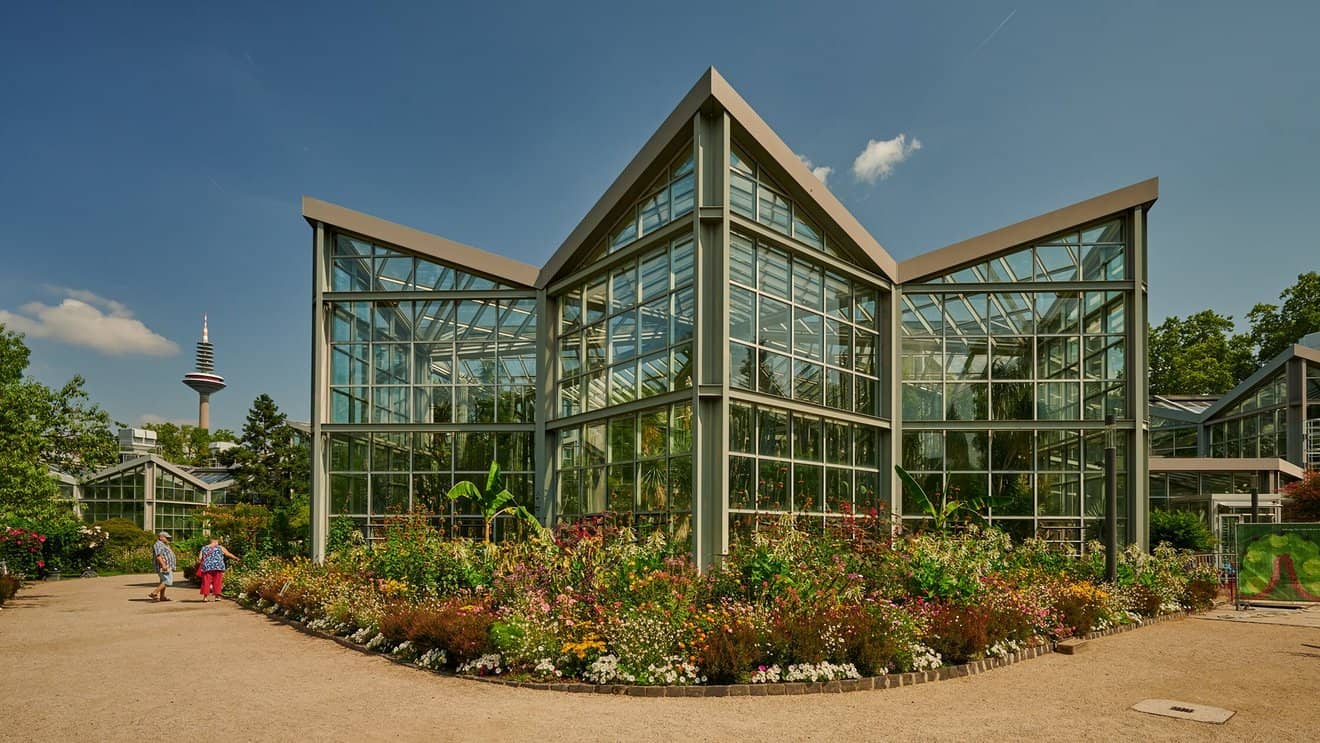 Butterfly House