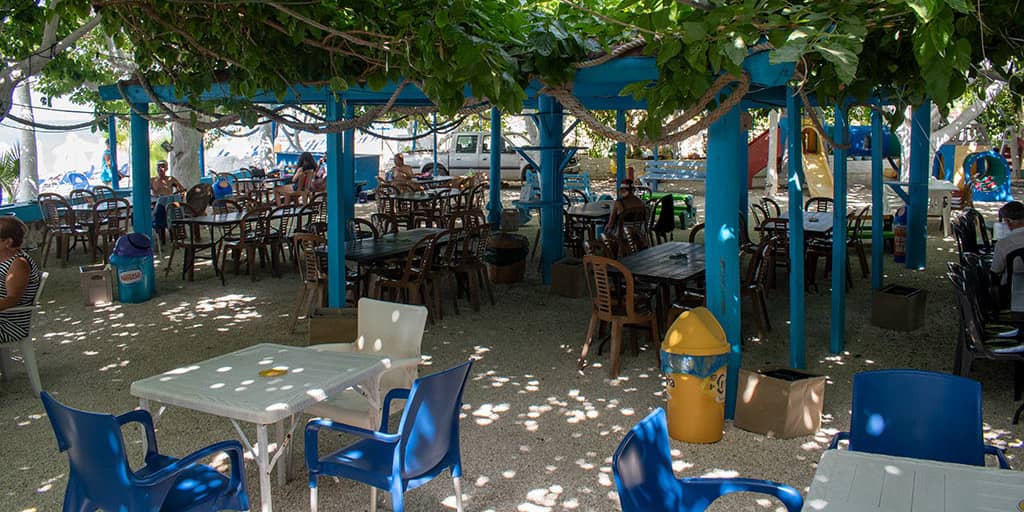Vibrant Beach Bars