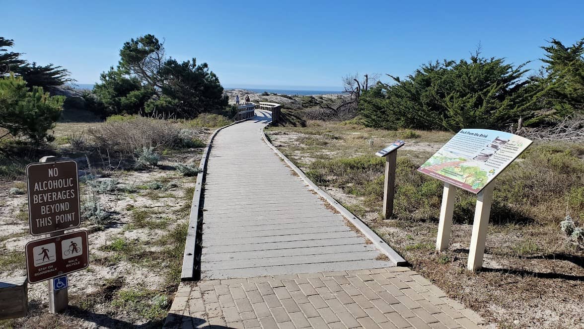 Boardwalk through Dunes