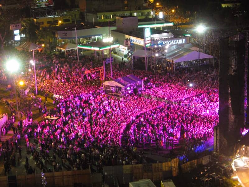 Lively Nightlife