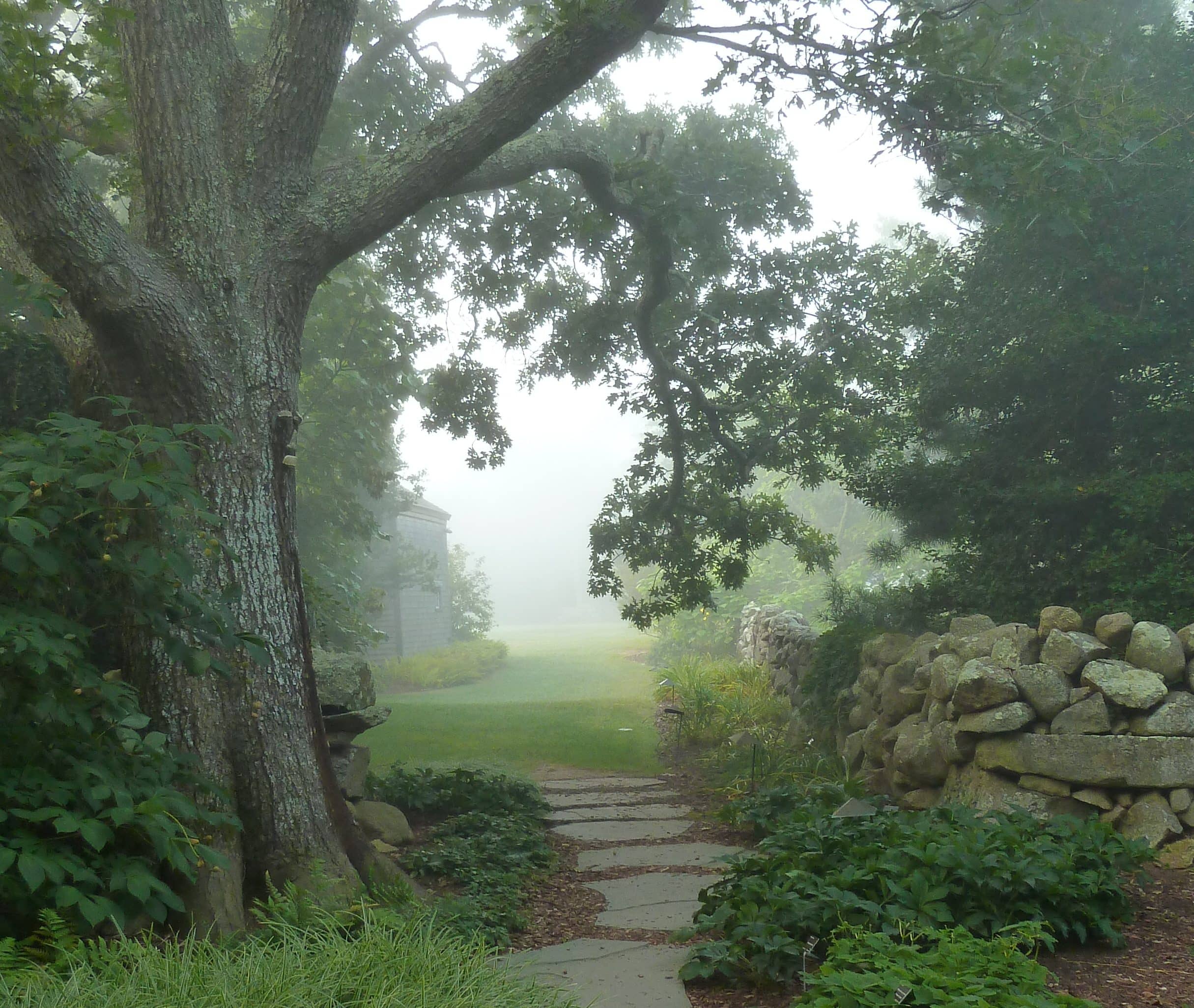 Historic Sheep Farm Landscape